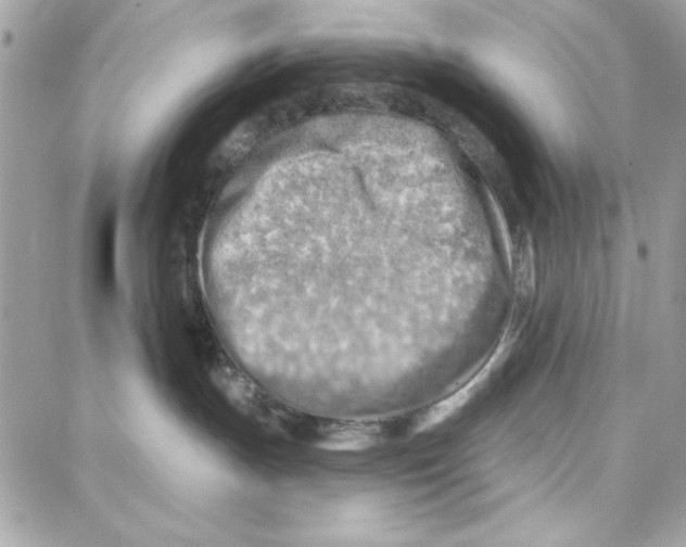 X0000087740191200706041046