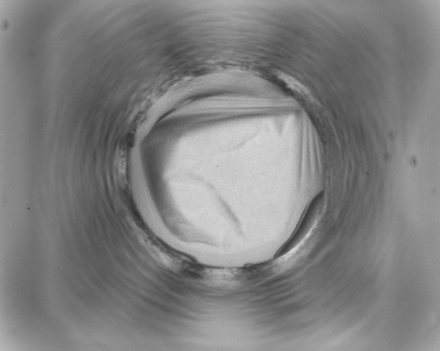 X0000087740192200706041046