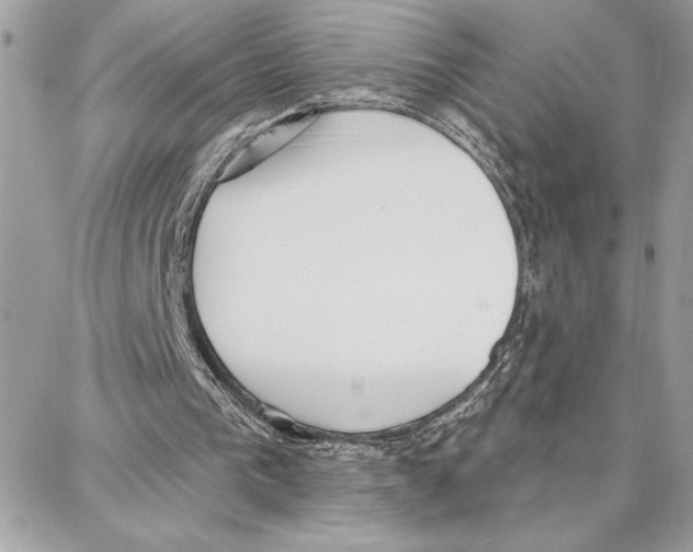 X0000087740193200706041045