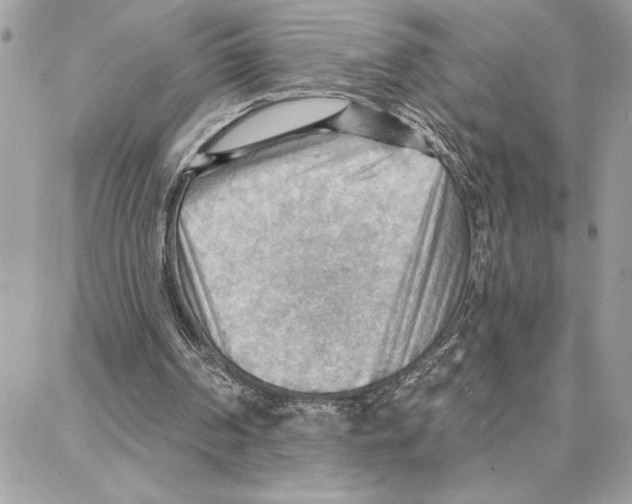 X0000087740194200706041045