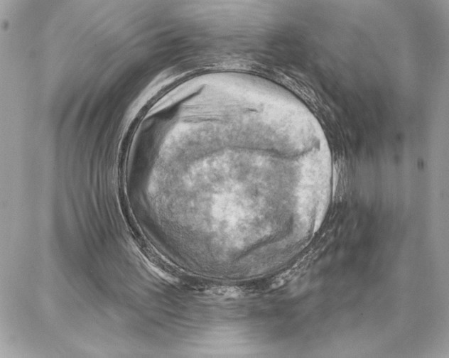 X0000087740195200706041045