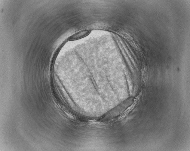 X0000087740196200706041045