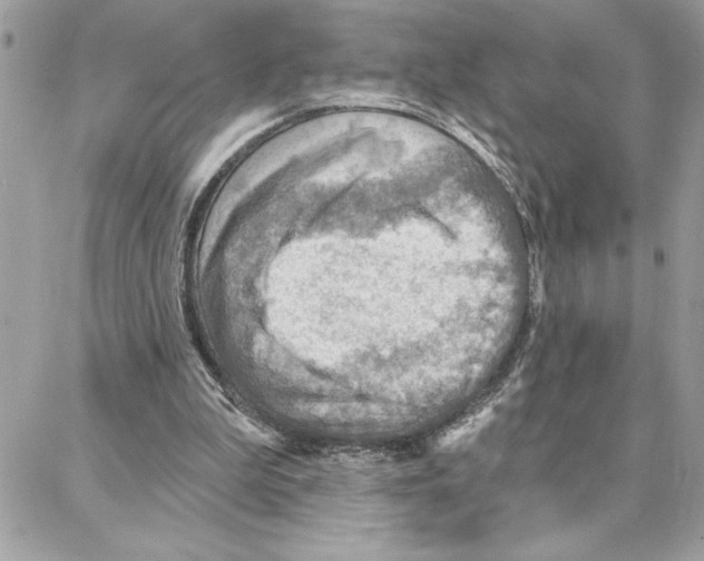 X0000087740199200706041045