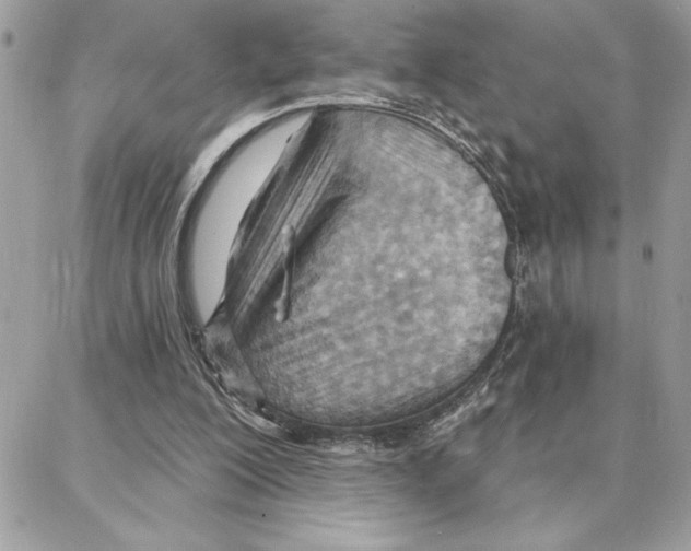 X0000087740200200706041045