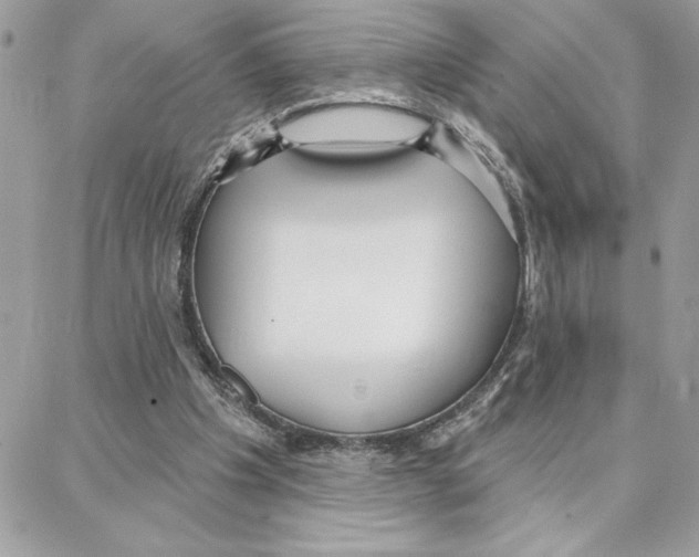 X0000087740201200706041045