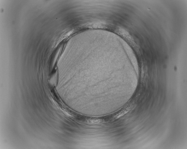 X0000087740202200706041045