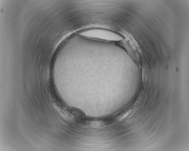 X0000087740204200706041045