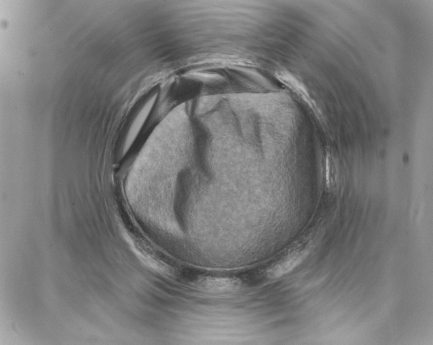 X0000087740205200706041045