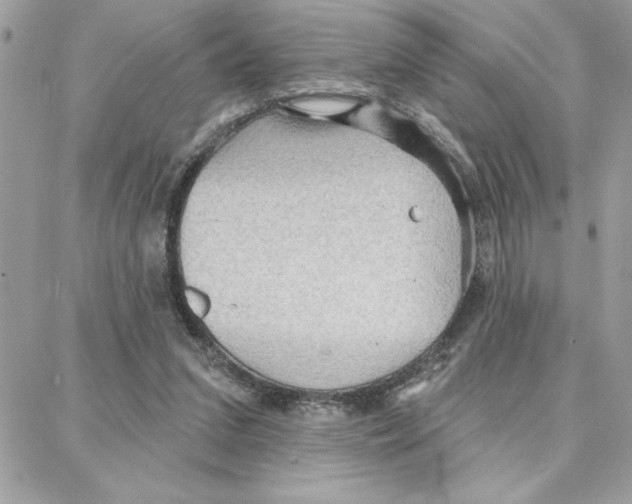 X0000087740207200706041045