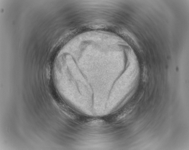 X0000087740210200706041045