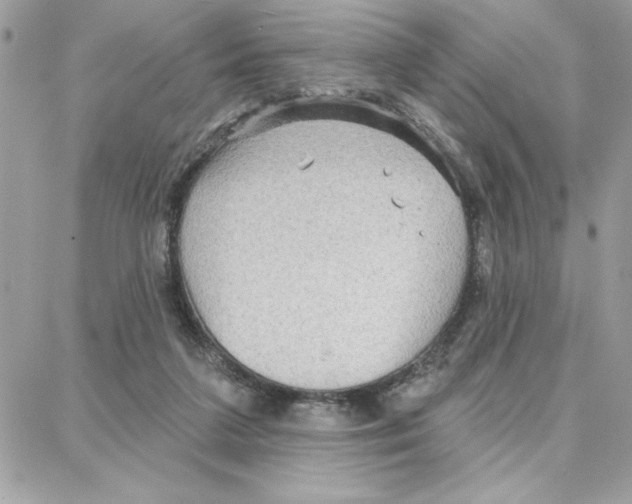 X0000087740211200706041045