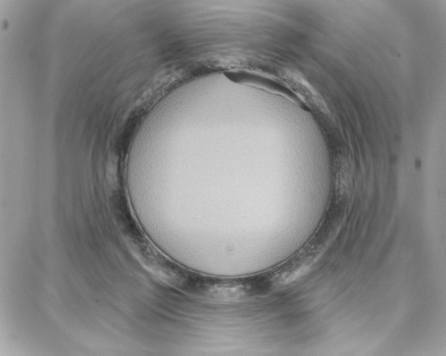 X0000087740213200706041045