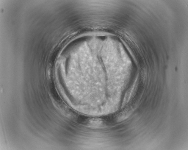 X0000087740214200706041045