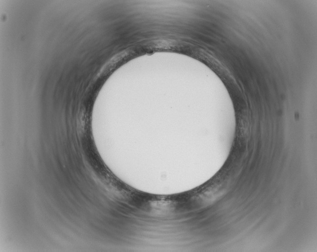 X0000087740216200706041045