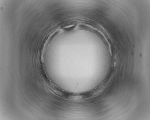 X0000087740217200706041045