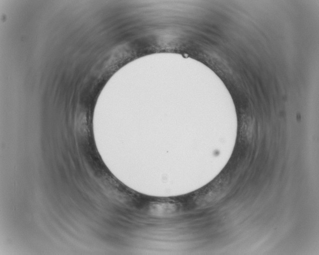 X0000087740220200706041045