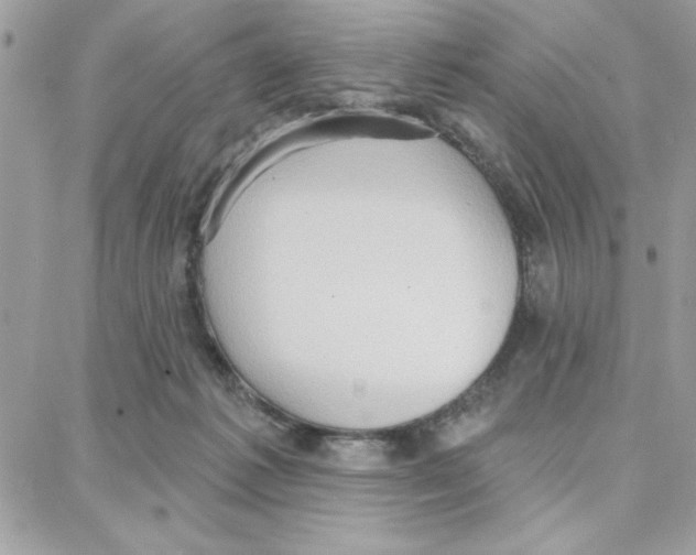 X0000087740221200706041045