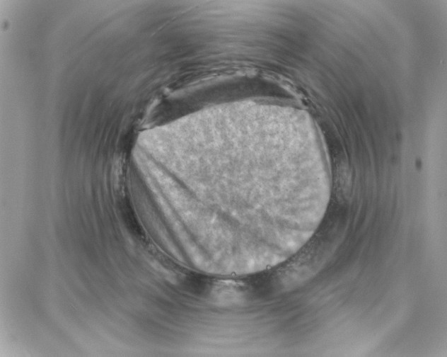 X0000087740222200706041045