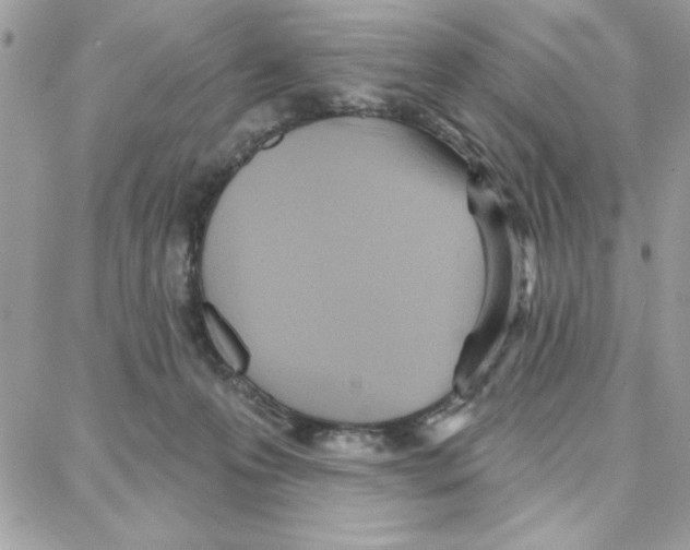 X0000087740223200706041045