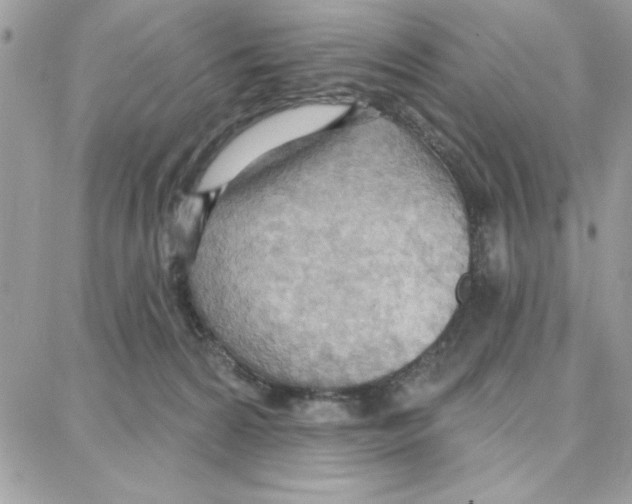 X0000087740224200706041045