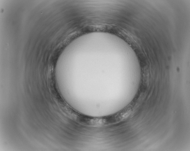 X0000087740225200706041045