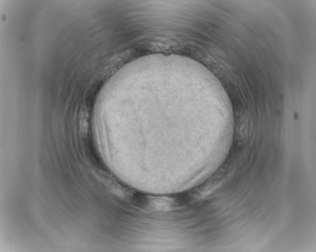 X0000087740226200706041045