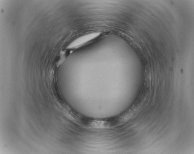 X0000087740227200706041044