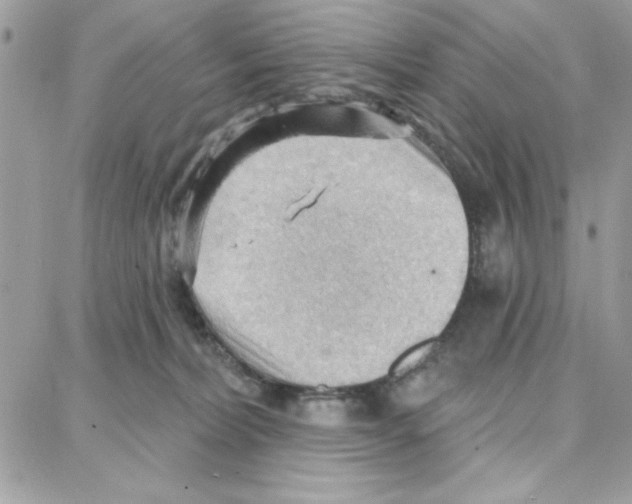 X0000087740228200706041044