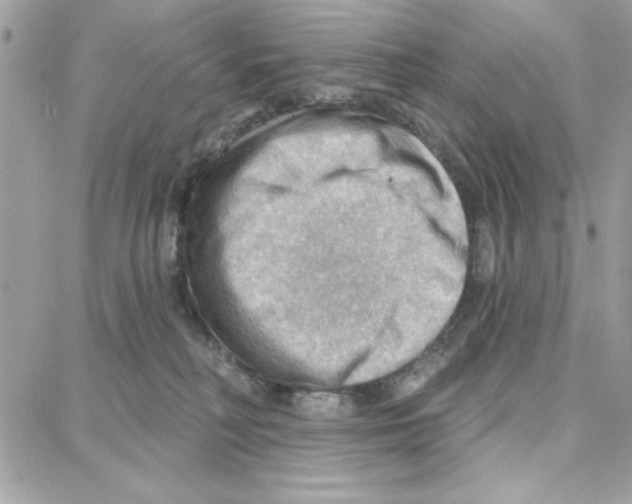 X0000087740230200706041044