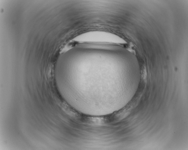 X0000087740233200706041044