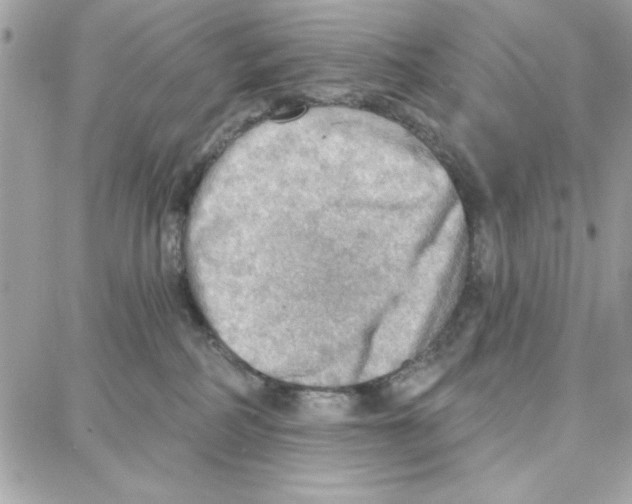 X0000087740234200706041044