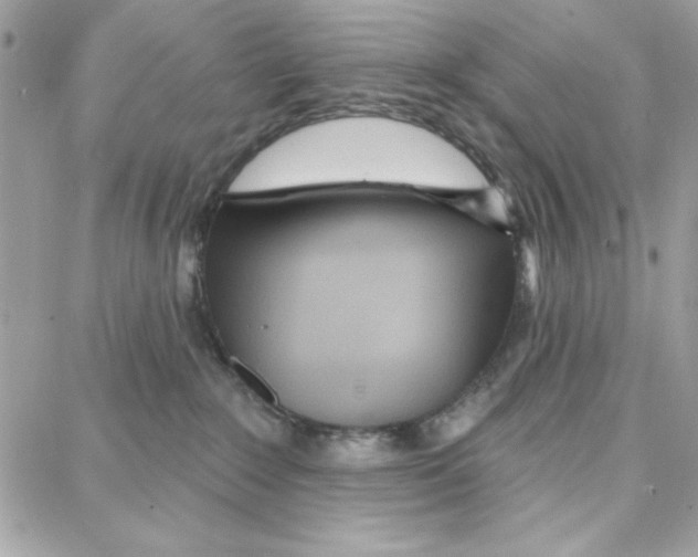 X0000087740235200706041044