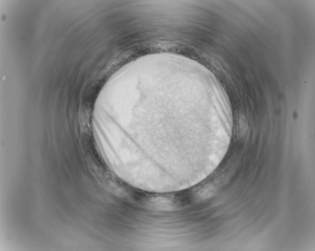 X0000087740236200706041044