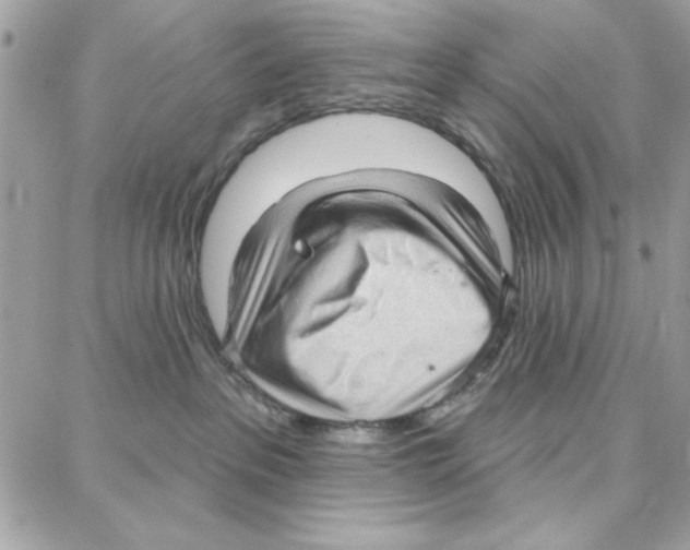 X0000087740237200706041044