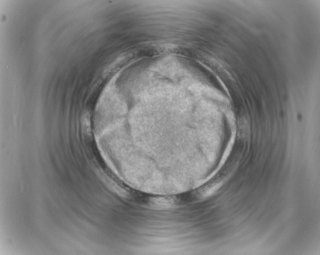 X0000087740238200706041044