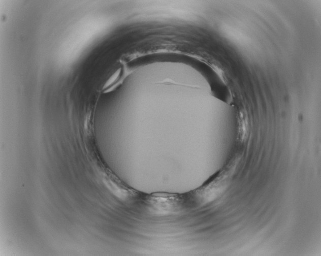 X0000087740239200706041044