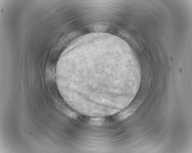 X0000087740240200706041044