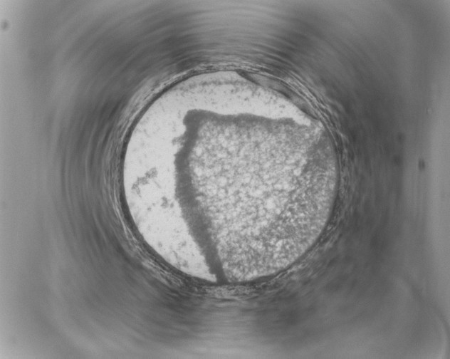 X0000087740241200706041044