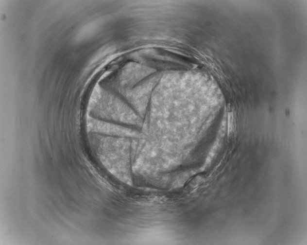 X0000087740243200706041044