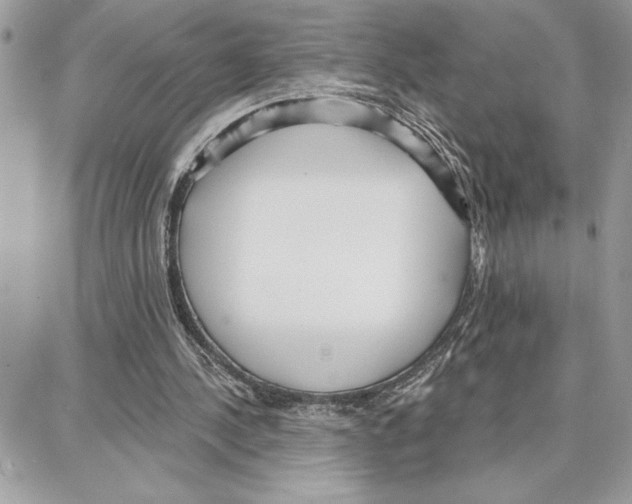 X0000087740244200706041044