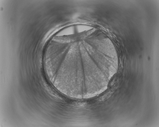 X0000087740247200706041044