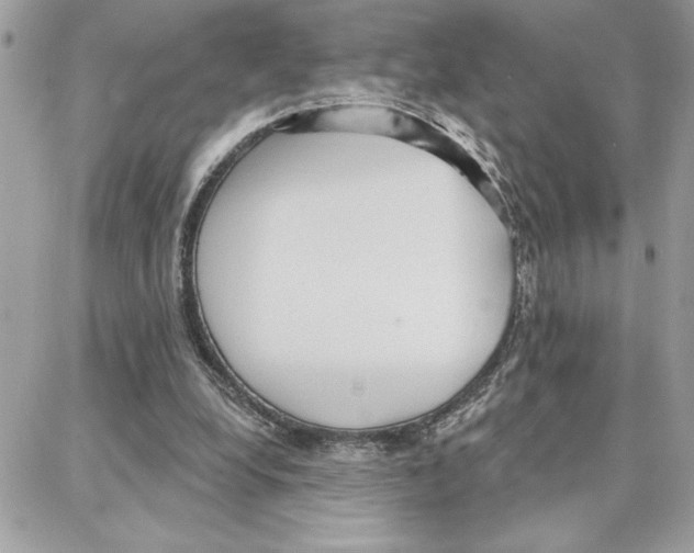 X0000087740248200706041044