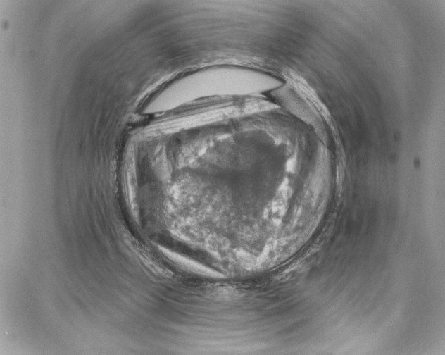 X0000087740249200706041044