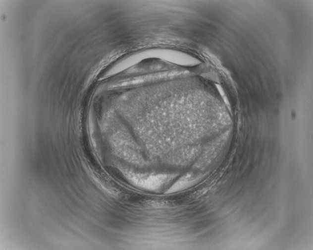 X0000087740250200706041044