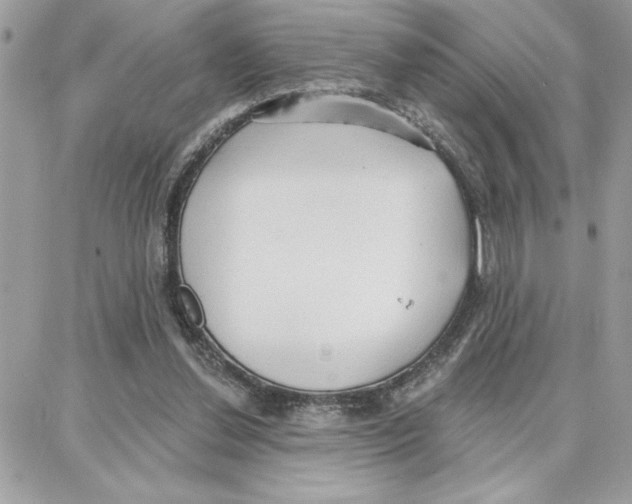 X0000087740252200706041044