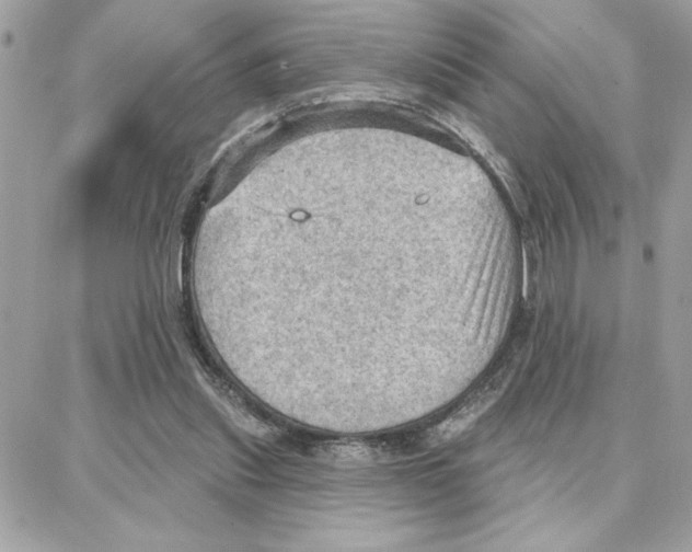 X0000087740253200706041044