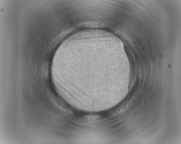 X0000087740255200706041044