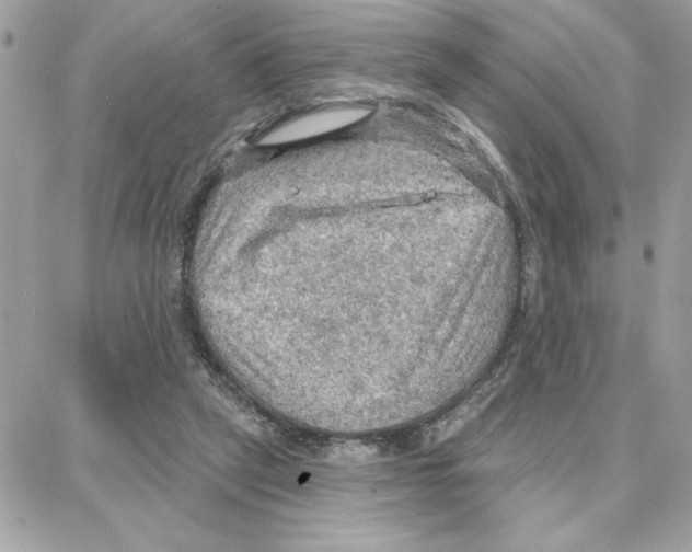 X0000087740257200706041044