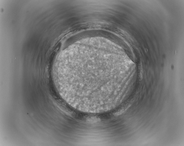 X0000087740258200706041044