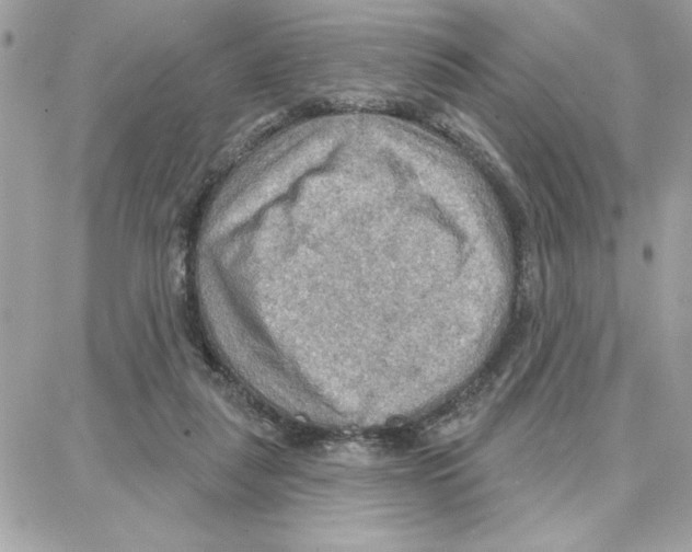 X0000087740259200706041044